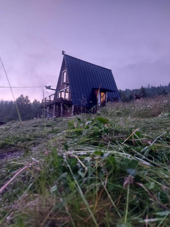 ポリャニーツァOak Houseアパートメント エクステリア 写真